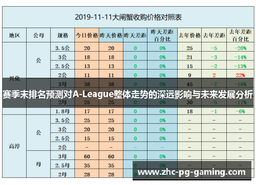 赛季末排名预测对A-League整体走势的深远影响与未来发展分析
