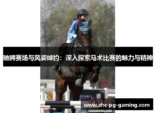驰骋赛场与风姿绰约：深入探索马术比赛的魅力与精神