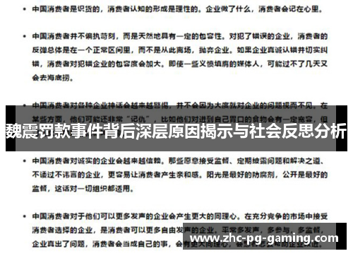 魏震罚款事件背后深层原因揭示与社会反思分析